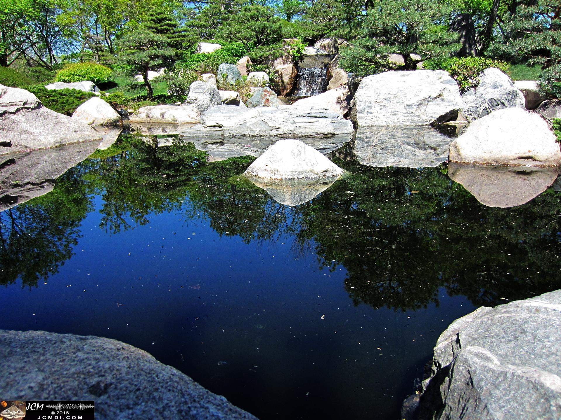 Como Zoo conservatory, MN japanese garden